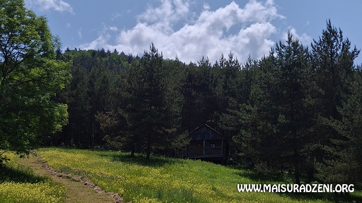 ძამას ხეობა